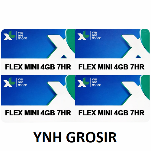 Voucher XL FLEX MINI 4GB 7HR